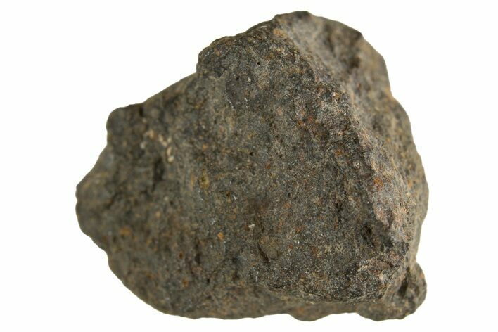 Carbonaceous Chondrite Meteorite ( g) - NWA #313693